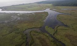 Bakan Yumaklı, 138 Sulak Alan Doğal Yaşam İçin Korunuyor