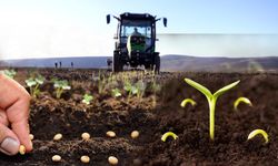 Tarımda Girdi Maliyeti Yüzde 33 Arttı