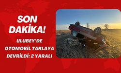 Ulubey’de Otomobil Tarlaya Devrildi: 2 Yaralı
