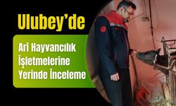 Ulubey’de Ari Hayvancılık İşletmelerine Yerinde İnceleme