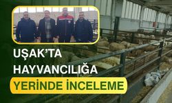 Uşak’ta Hayvancılığa Yerinde İnceleme
