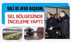 Vali ve AFAD Başkanı, Sel Bölgesinde İnceleme Yaptı