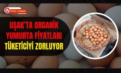 Uşak’ta Organik Yumurta Fiyatları Tüketiciyi Zorluyor