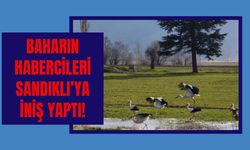 Baharın Habercileri Sandıklı’ya İniş Yaptı!