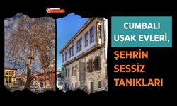 Cumbalı Uşak Evleri, Şehrin Sessiz Tanıkları