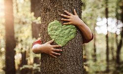 Dünya Doğayı Koruyamıyor, Zarar 30 Kat Daha Fazla