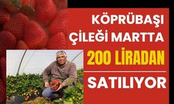 Köprübaşı Çileği Martta 200 Liradan Satılıyor