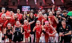 Türk Voleybolu Yılın Sporcusu Ödülleri İçin Oy Bekliyor
