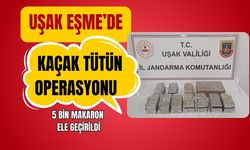 Uşak Eşme’de Kaçak Tütün Operasyonu: 5 Bin Makaron