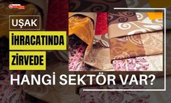 Uşak İhracatında Zirvede Hangi Sektör Var?