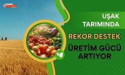 Uşak Tarımında Rekor Destek: Üretim Gücü Artıyor