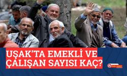 Uşak’ta Emekli ve Çalışan Sayısı Kaç?