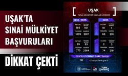 Uşak’ta Sınai Mülkiyet Başvuruları Dikkat Çekti