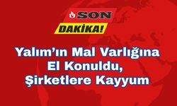 Yalım’ın Mal Varlığına El Konuldu, Şirketlere Kayyum