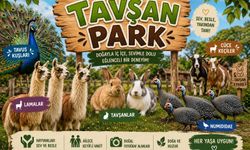 Ulubey’de Animal Cafe Kapılarını Açıyor