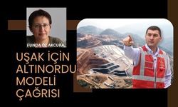 Uşak İçin Altınordu Modeli Çağrısı