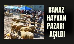 Banaz Hayvan Pazarı 14 Ay Sonra Yeniden Açıldı