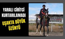 Yaralı Ciritci Kurtarılamadı: Uşak’ta Büyük Üzüntü