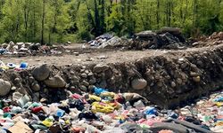 Fındıklı Belediyesi’ne Çöp Cezası: 2,3 Milyon TL’lik Şok