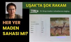 Uşak’ta Şok Rakam: Her Yer Maden Sahası mı?