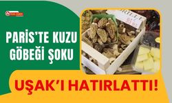 Paris’te Kuzu Göbeği Şoku: Uşak’ı Hatırlattı!