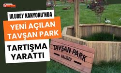 Ulubey Kanyonu’nda Yeni Açılan Tavşan Park Tartışma Yarattı: Ücret Tepkisi Büyüyor