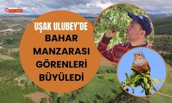 Uşak Ulubey’de Bahar Manzarası Görenleri Büyüledi