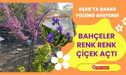 Uşak’ta Bahar Yüzünü Gösterdi: Bahçeler Renk Renk Çiçek Açtı