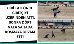 Cirit Atı Önce Ciritçiyi Üzerinden Attı, Sonra Dört Nala Sahada Koşmaya Devam Etti