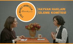Etki Odaklı Sohbetler’de Hayvan Hakları Gündemi: Fatma Biltekin Sistematik İhlallere Dikkat Çekti