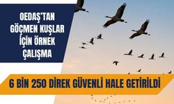 OEDAŞ’tan Göçmen Kuşlar İçin Örnek Çalışma: 6 Bin 250 Direk Güvenli Hale Getirildi