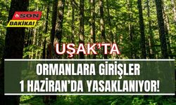 Uşak’ta Ormanlara Girişler 1 Haziran’da Yasaklanıyor