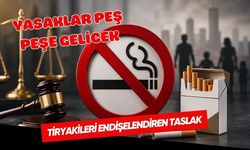 Tiryakileri Endişelendiren Taslak: Yasaklar Peş Peşe Gelicek