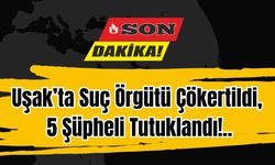 Uşak’ta Suç Örgütü Çökertildi, 5 Şüpheli Tutuklandı