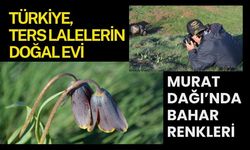 Türkiye, Ters Lalelerin Doğal Evi: Murat Dağı’nda Bahar Renkleri