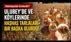 Ulubey’de Bir Zamanlar Yaz Böyle Başlardı: Haşhaş Tarlalarının Kokusu Hala Unutulmuyor
