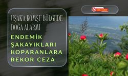 Uşak’a Komşu Bölgede Doğa Alarmı: Endemik Şakayıkları Koparanlara Rekor Ceza