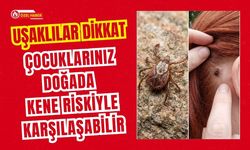Uşaklılar Dikkat, Çocuklarınız Doğada Kene Riskiyle Karşılaşabilir