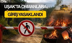 Uşak’ta Ormanlara Giriş Yasaklandı: Yasak 31 Ekim’e Kadar Sürecek