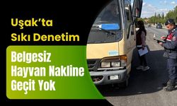 Uşak’ta Sıkı Denetim: Belgesiz Hayvan Nakline Geçit Yok