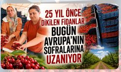 25 Yıl Önce Dikilen Fidanlar Bugün Avrupa'nın Sofralarına Uzanıyor