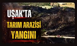 Uşak'ta Tarım Arazisi Yangını Kontrol Altına Alındı