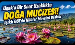 Uşak'a Bir Saat Uzaklıkta Doğa Mucizesi! Işıklı Göl'de Nilüfer Mevsimi Başladı
