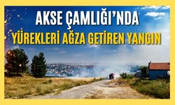 Akse Çamlığı'nda Yürekleri Ağza Getiren Yangın