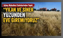 Aybey Mahallesi Sakinlerinden Tepki: “Yılan ve Sinek Yüzünden Eve Giremiyoruz"