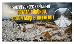 Uşak'ın Yüksek Kesimleri Beyaza Büründü, Dolu Yağışı Etkili Oldu