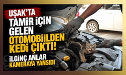 Uşak'ta Tamir İçin Gelen Otomobilden Kedi Çıktı! İlginç Anlar Kameraya Yansıdı