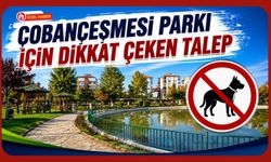Çobançeşmesi Parkı İçin Dikkat Çeken Talep, Köpek Gezdirilmesine Düzenleme İstendi