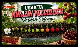 Daldan Sofraya Kirazın Yolculuğu, Kaliteyi Belirleyen Süreç