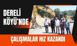 Dereli Köyü’nde Çalışmalar Hız Kazandı, Kaymakam Görmüş Sahada İncelemede Bulundu